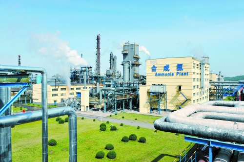 �y�T�ܵ����