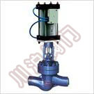 J661Y���(d��ng)�߉���ֹ�y