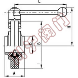 ����ʽ���y,�Y���D